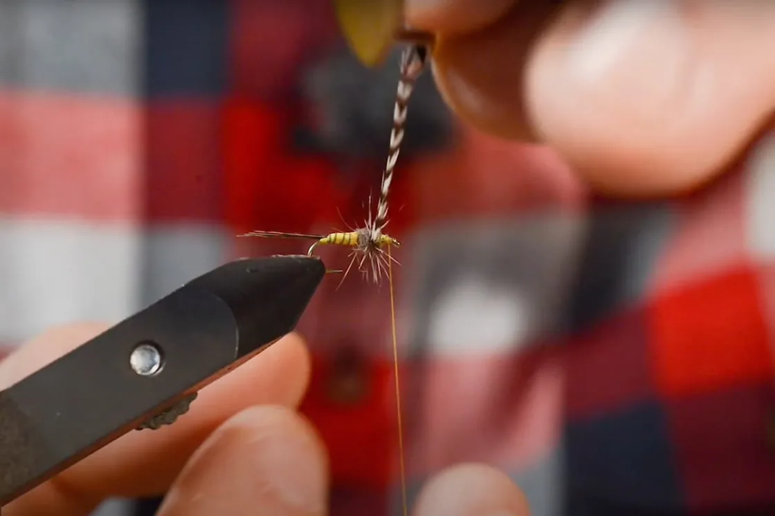 Réalisation d'une collerette de mouche de pêche