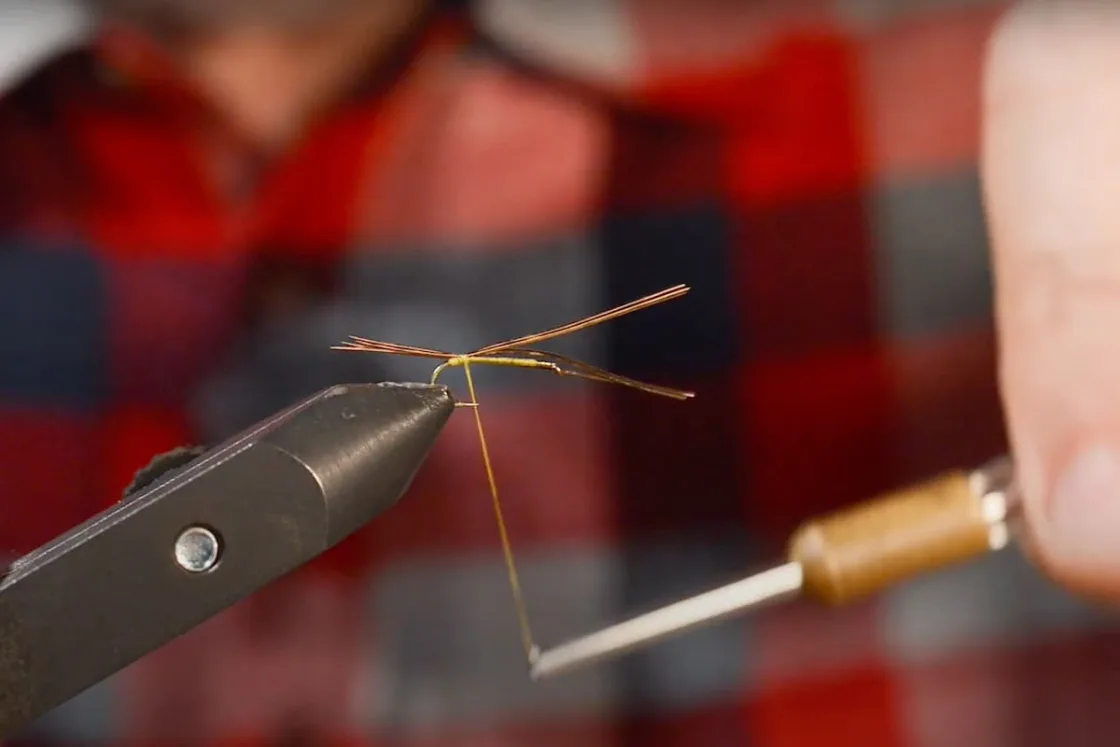 Fixation des cerques sur la hampe de l'hameçon.