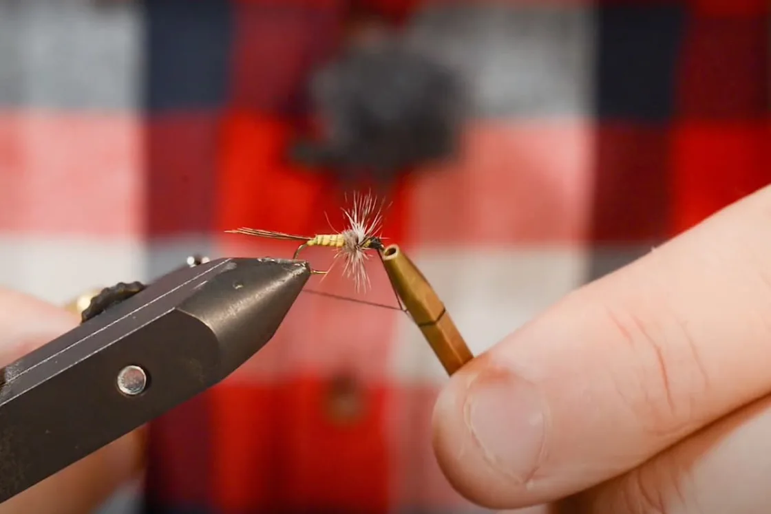 Réalisation du nœud final sur une mouche de pêche avec une demi-clé