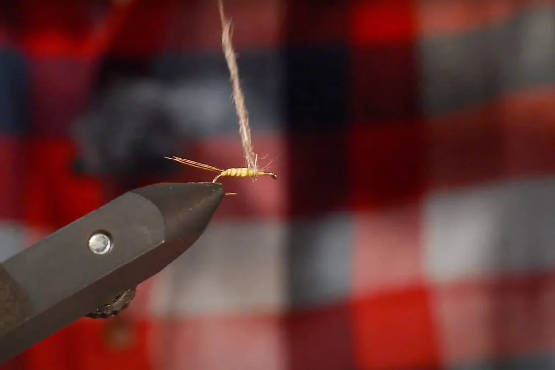 Réalisation d'un thorax de mouche de pêche