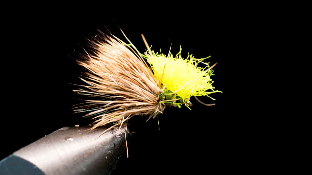 Le sedge chevreuil avec indicateur, l'une des meilleures mouches sèches en eaux rapides