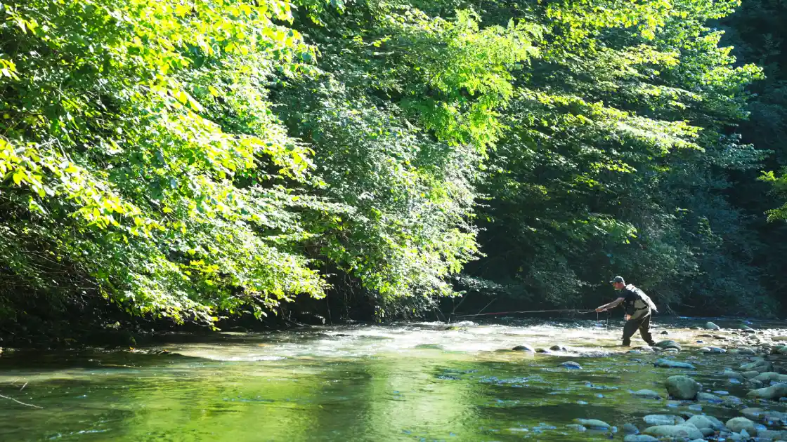 La pêche en nymphe au fil à la française se pratique sur tous types de cours d'eau.